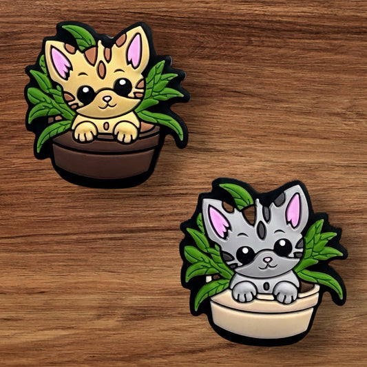 Kitty In Plant Focal