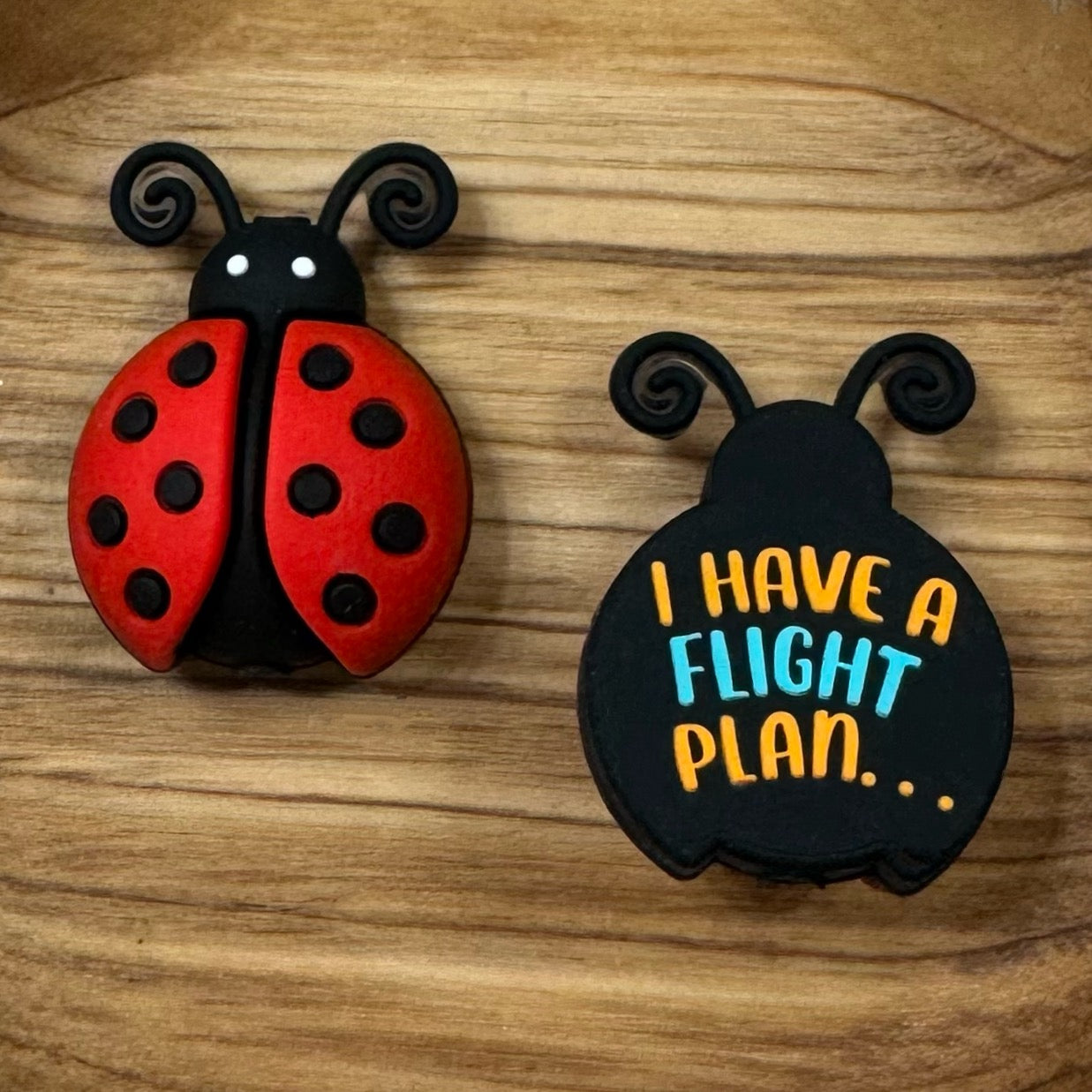 3-D Ladybug Focal