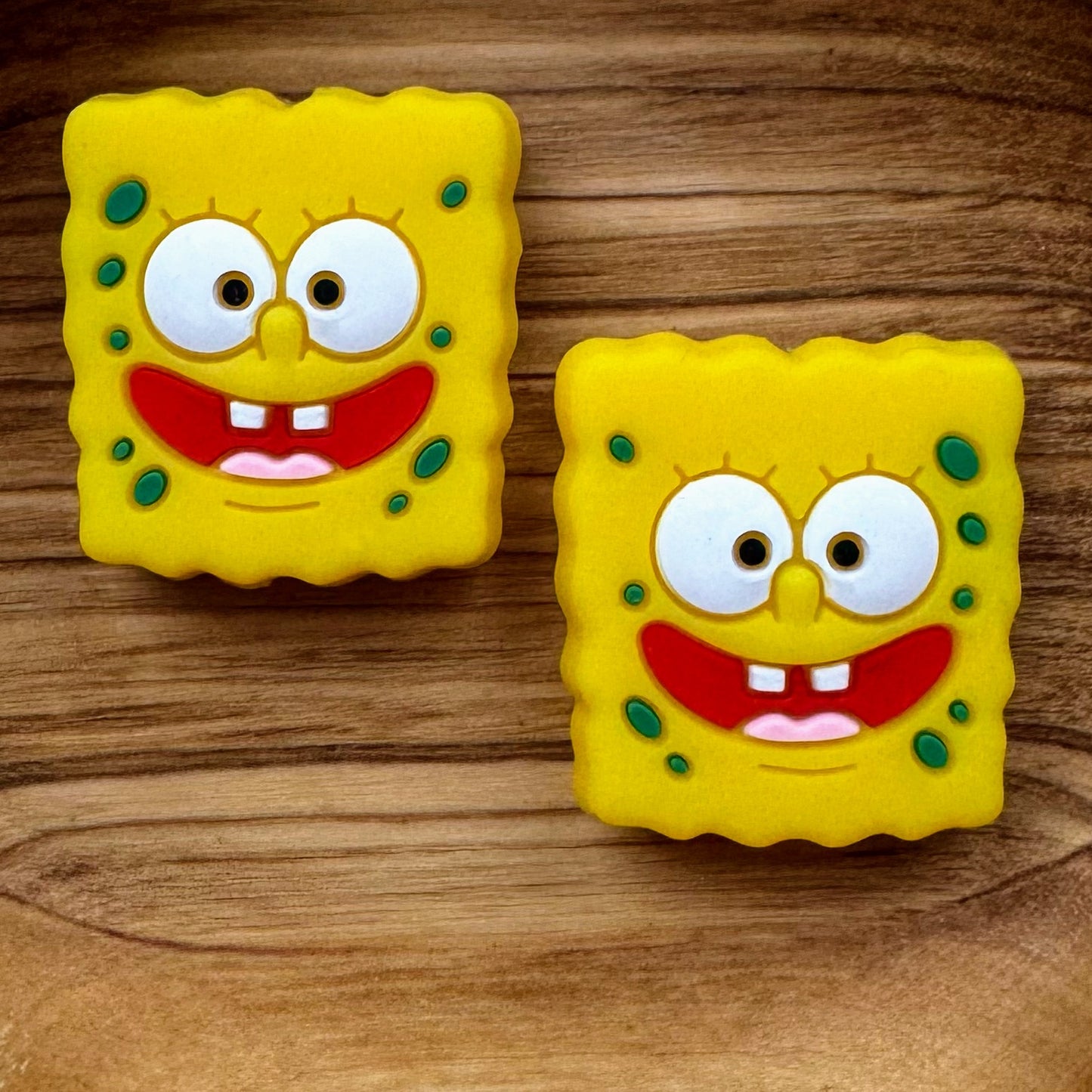 Sponge Guy Focal