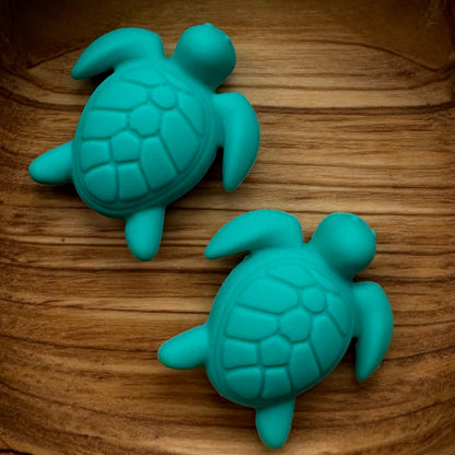 Sea Turtle Focals