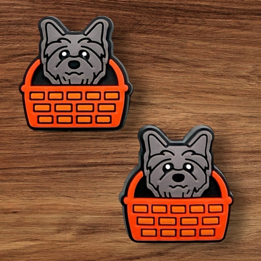 Yorkie Focal