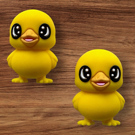3-D Chick Focal