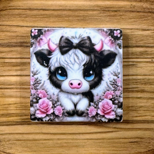 Cute Baby Cow Focal