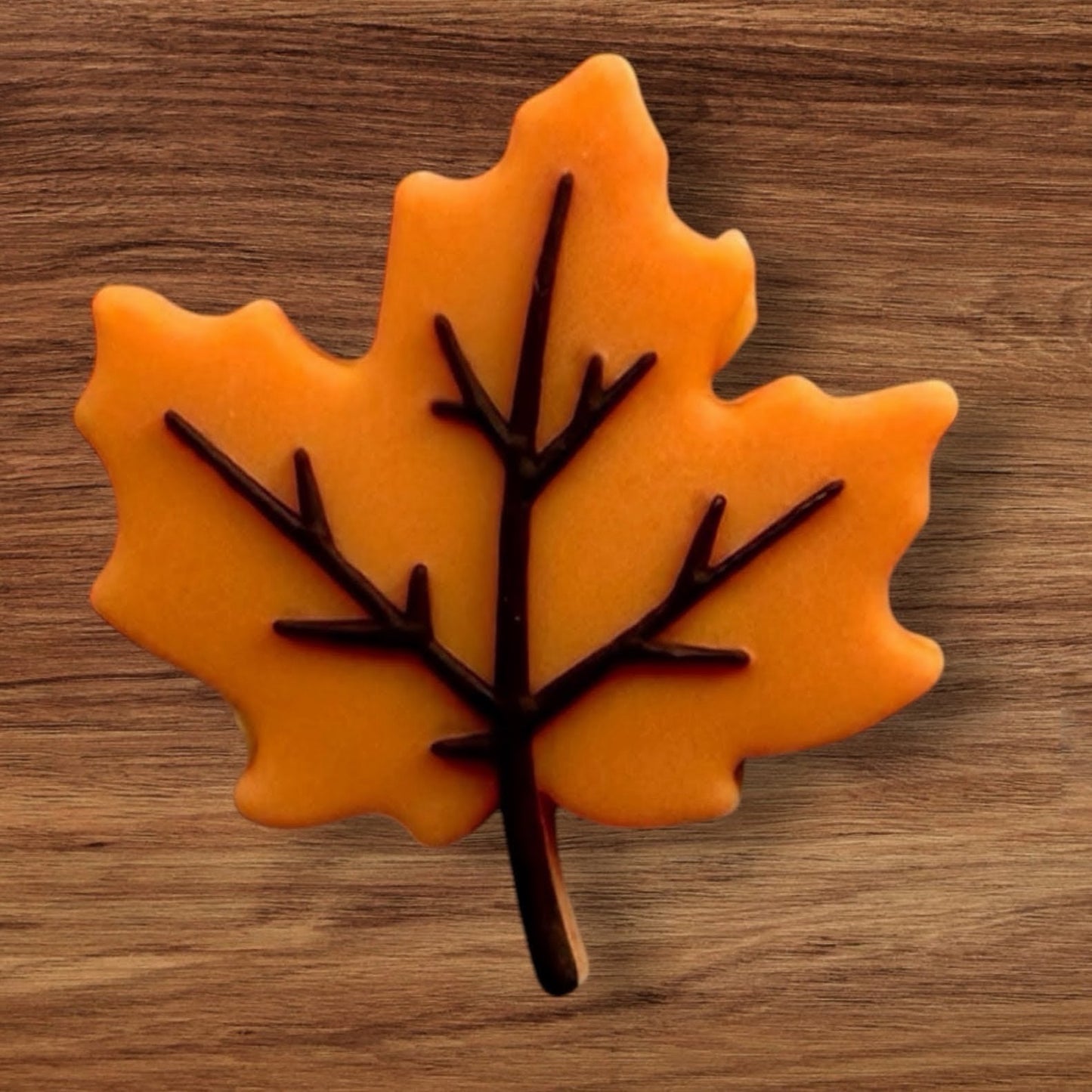 Fall Leaves Focal