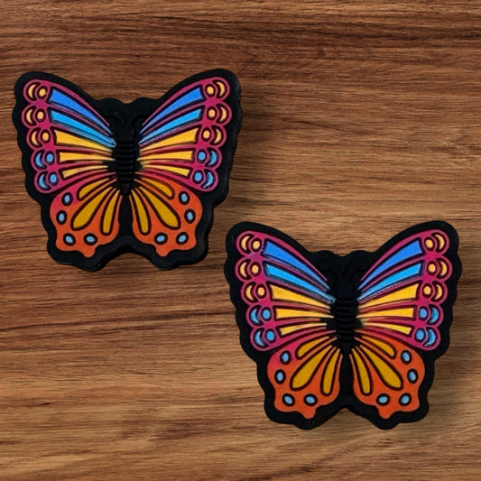 Colorful Striped Butterfly Focal