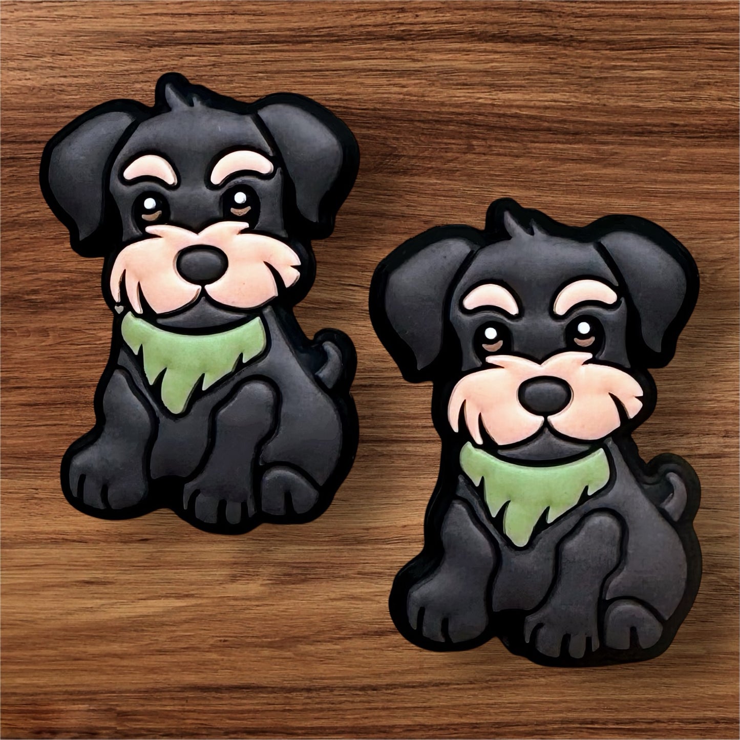 Schnauzer Dog Focal