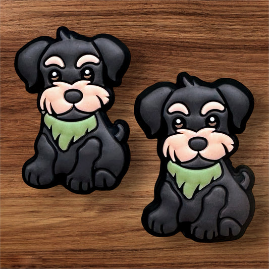 Schnauzer Dog Focal