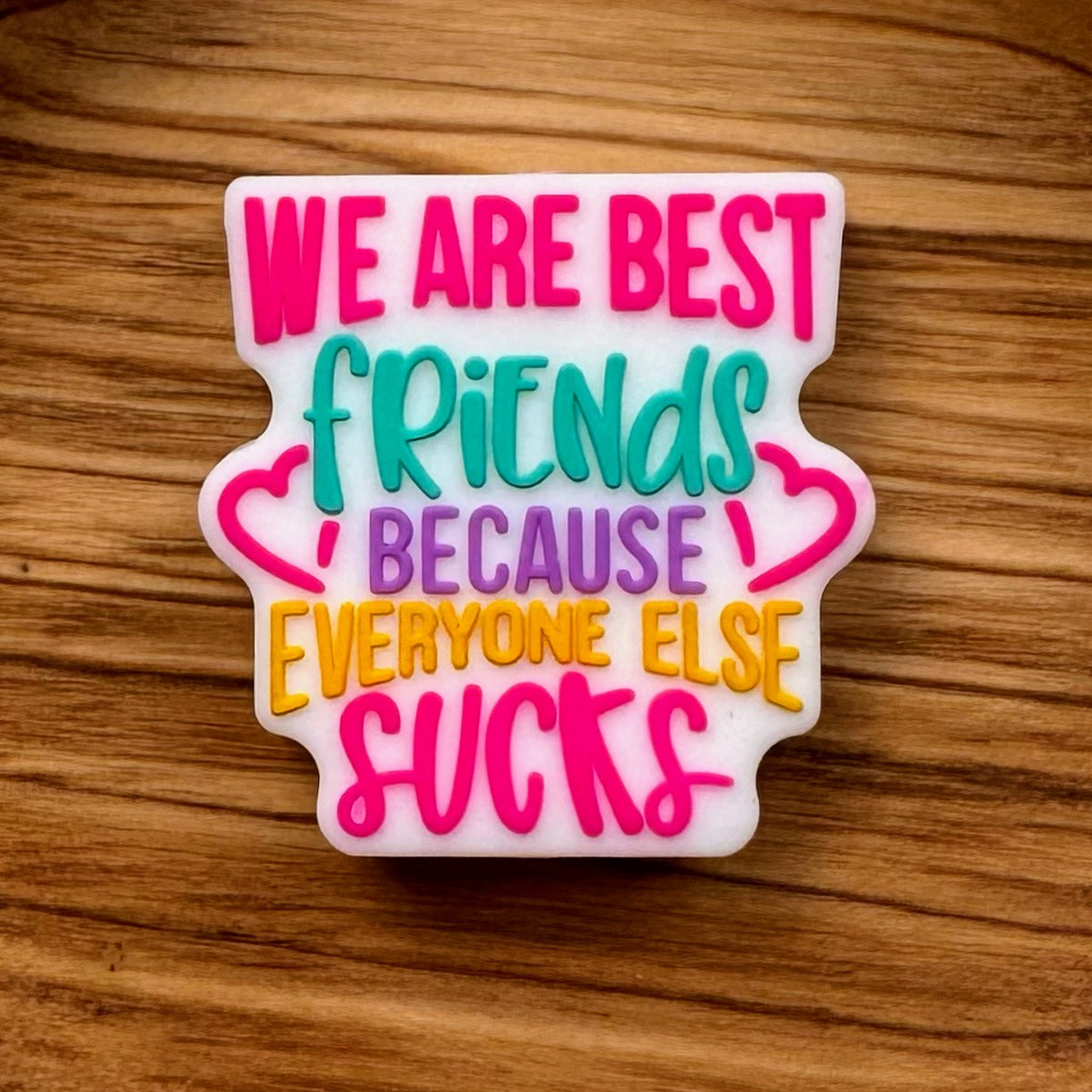 We Are Best Friends Because Everyone Else Sucks Focal