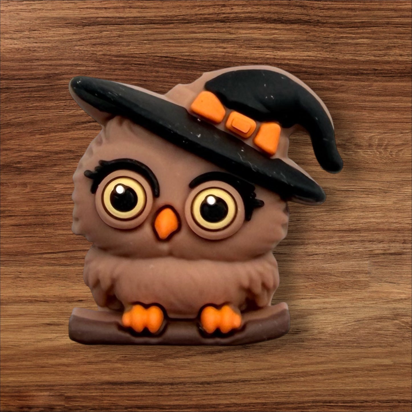 3-D Owl Witch Focal