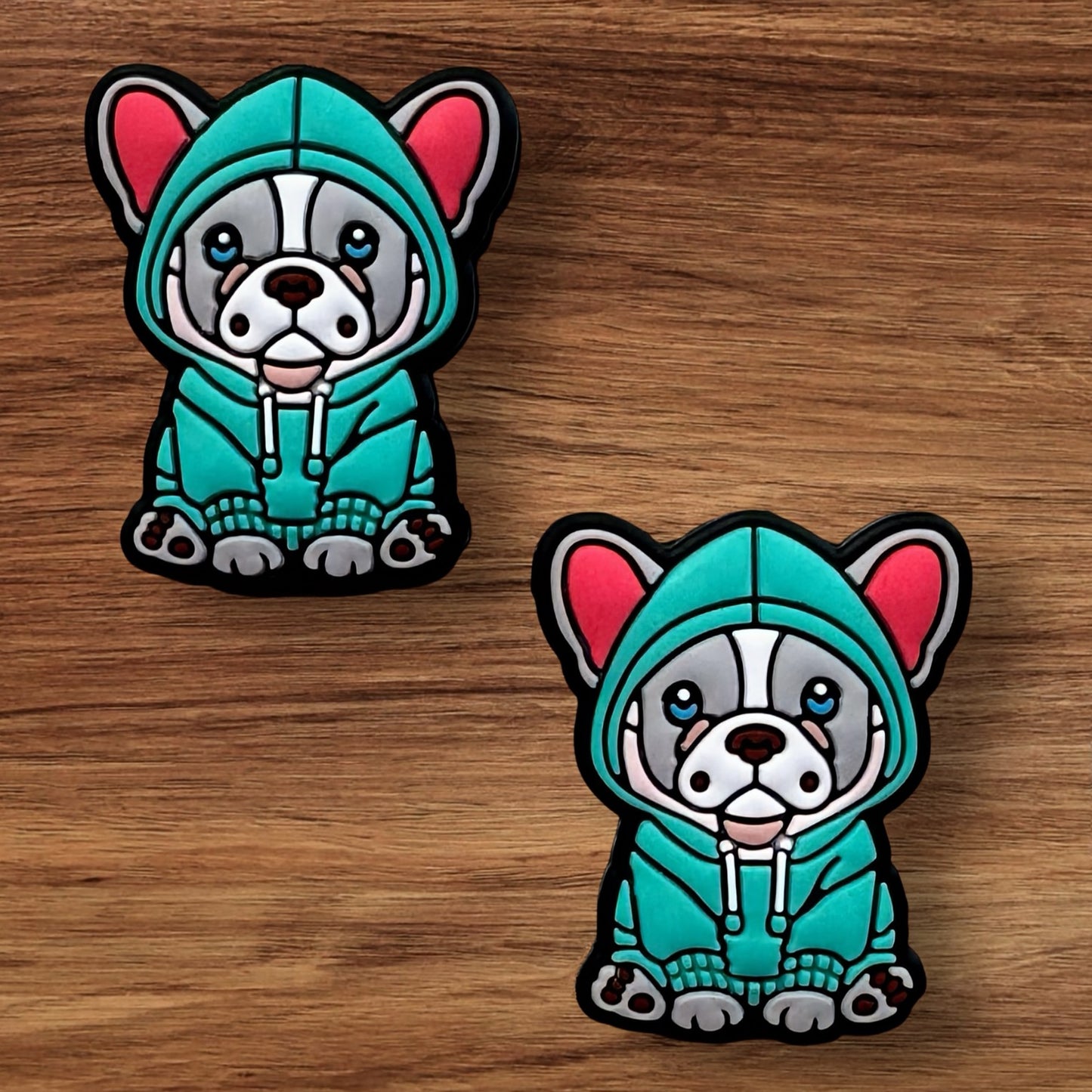 Dog In Sweatshirt Focal