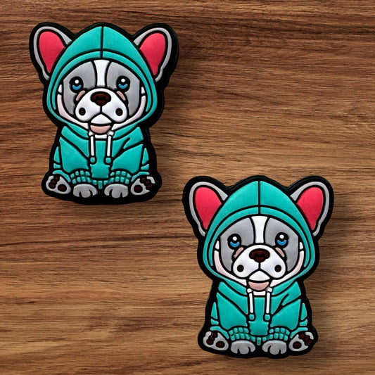 Dog In Sweatshirt Focal