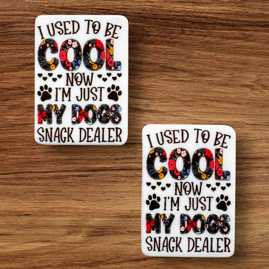 I Used To Be Cool Now Im Just My Dogs Snack Dealer Focal (Custom)