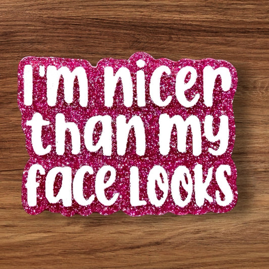 I’m Nicer Than My Face Looks Acrylic Flatback