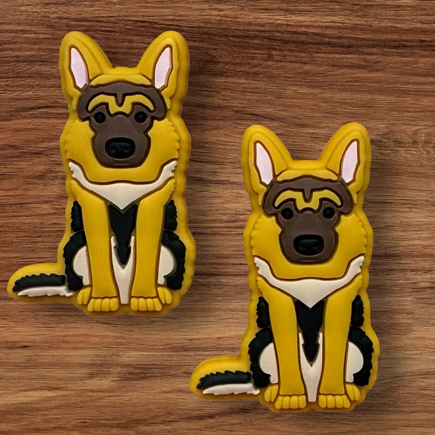 German Shepherd Focal