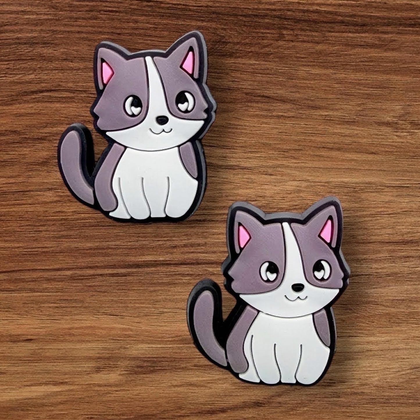 Grey & White Cat Focal