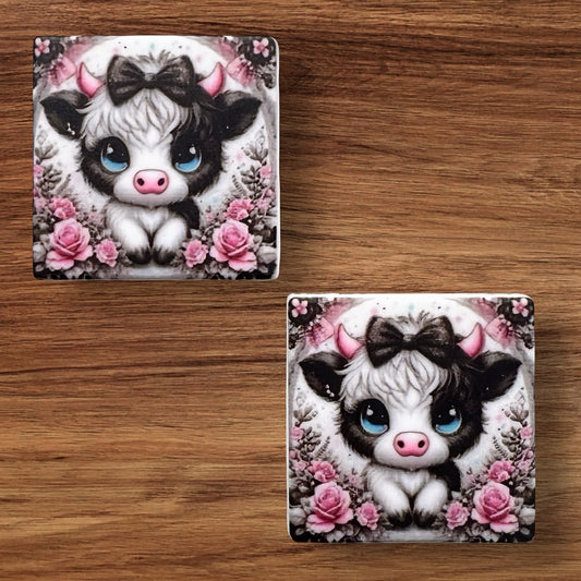 Cute Baby Cow Focal