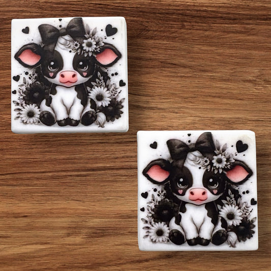 Cow Focal