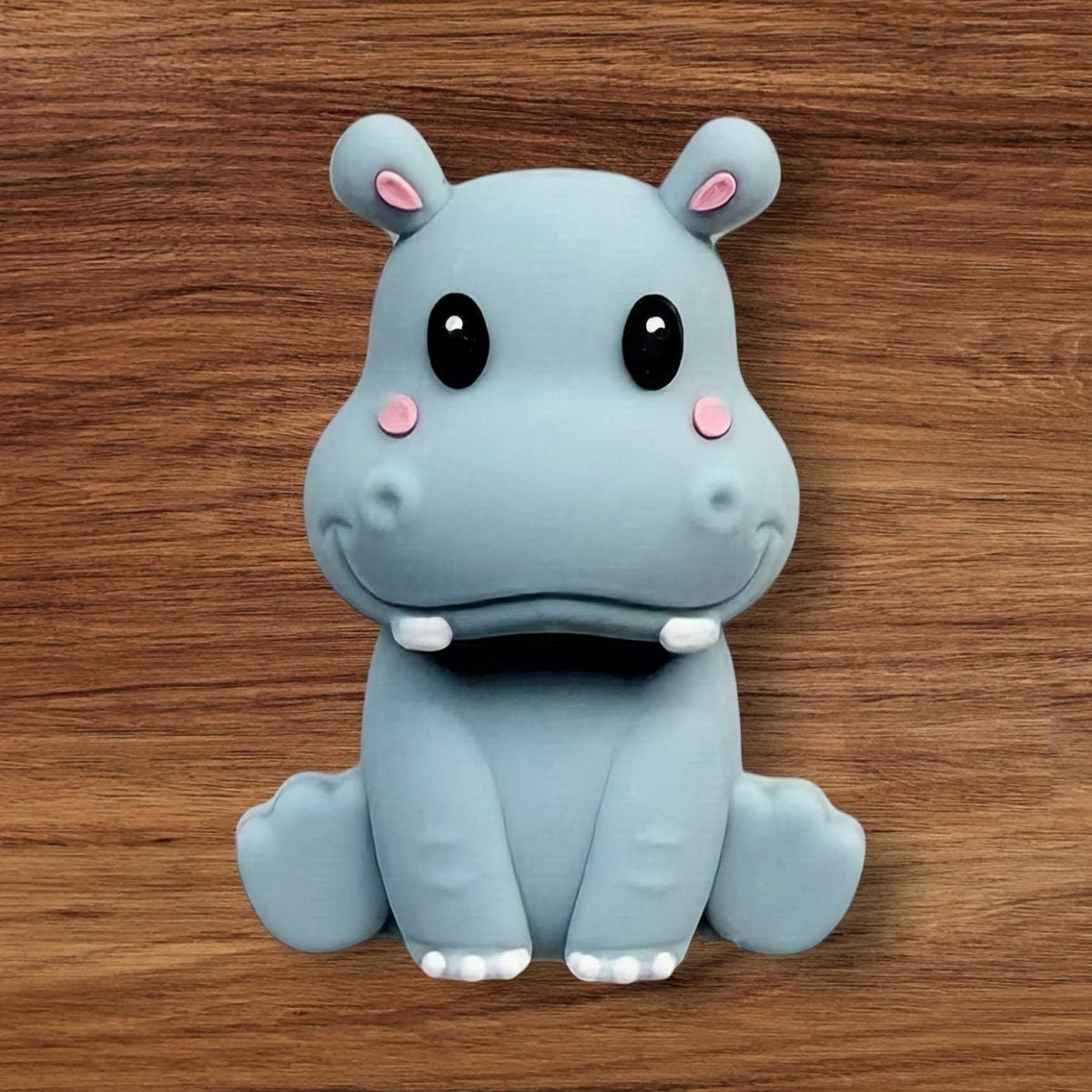 3-D Hippo Focal