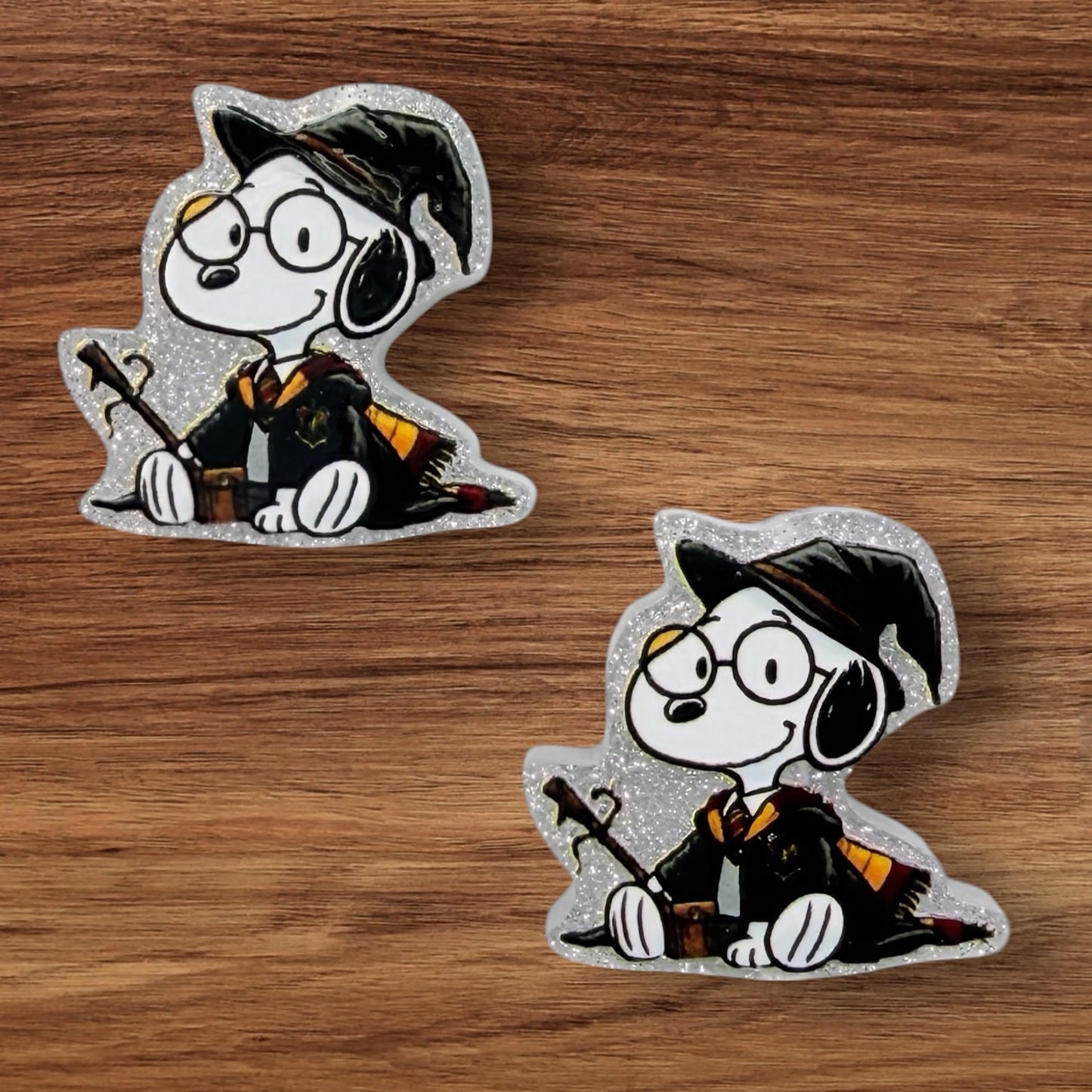 Wizard Dog Acrylic Focal