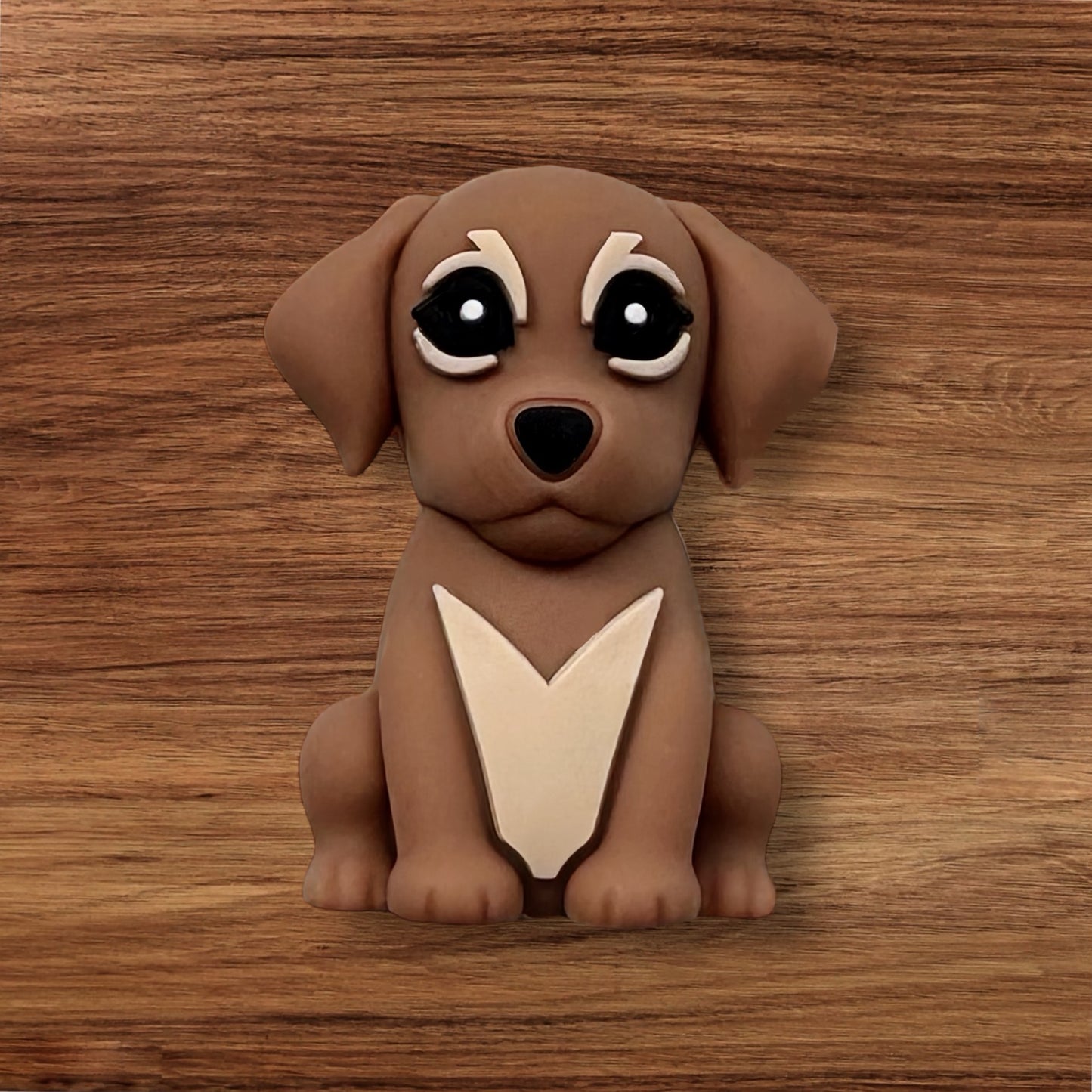 3-D Dog Focal