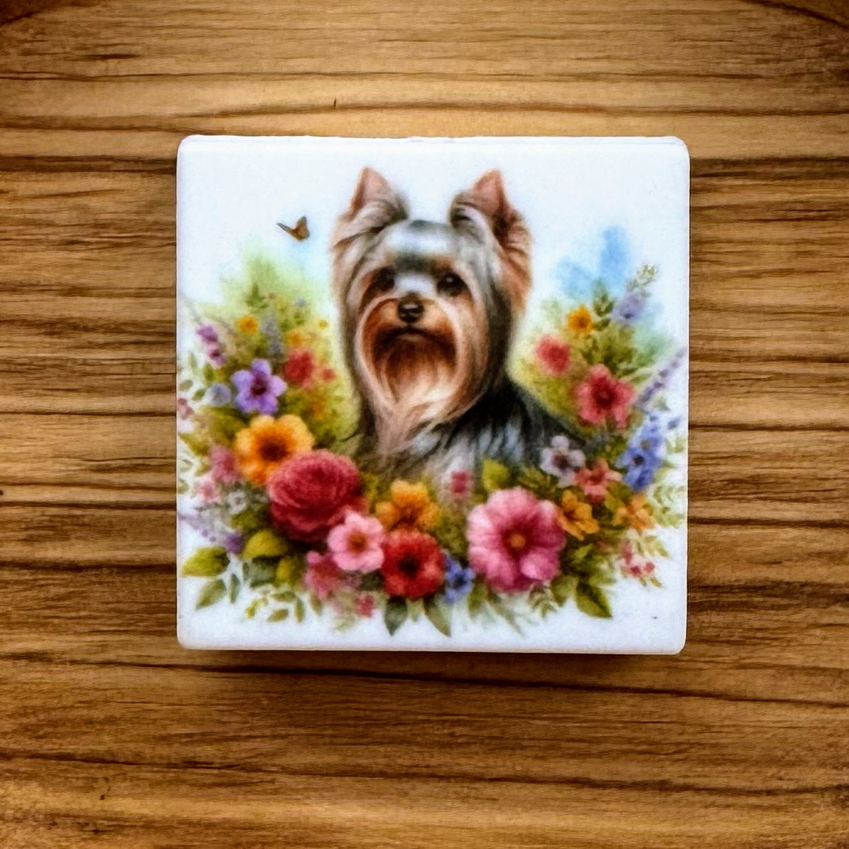 Yorkie Focal