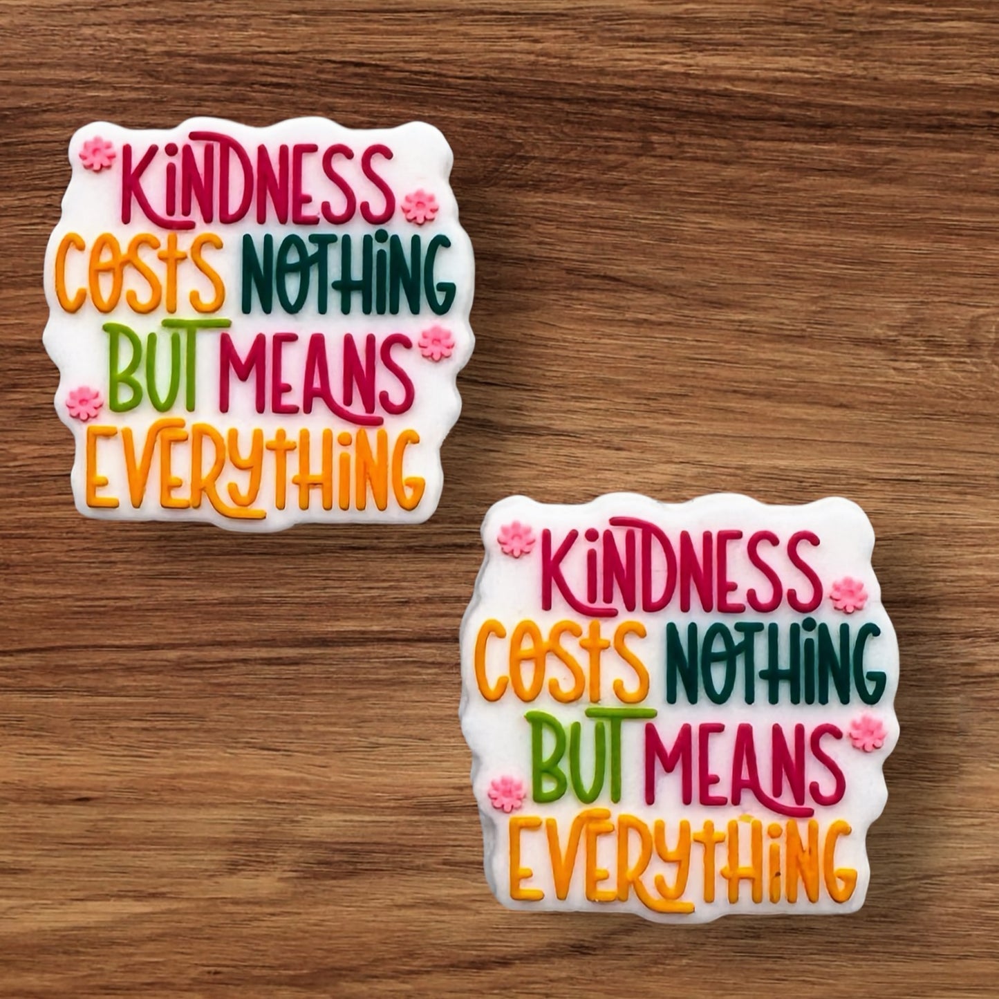 Kindness Cost Nothing But Means Everything Focal