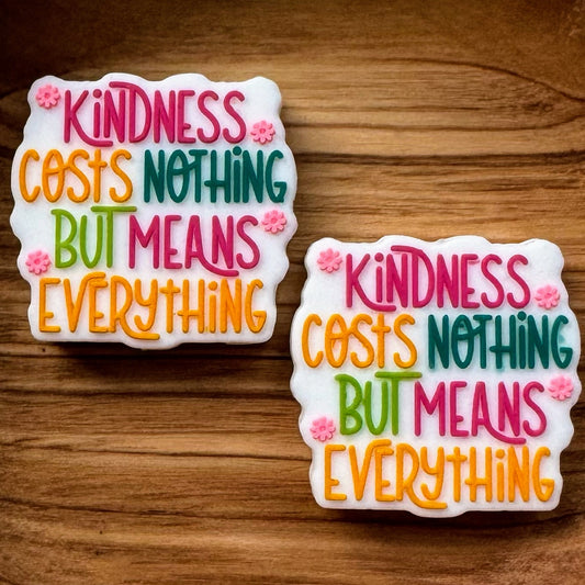 Kindness Cost Nothing But Means Everything Focal