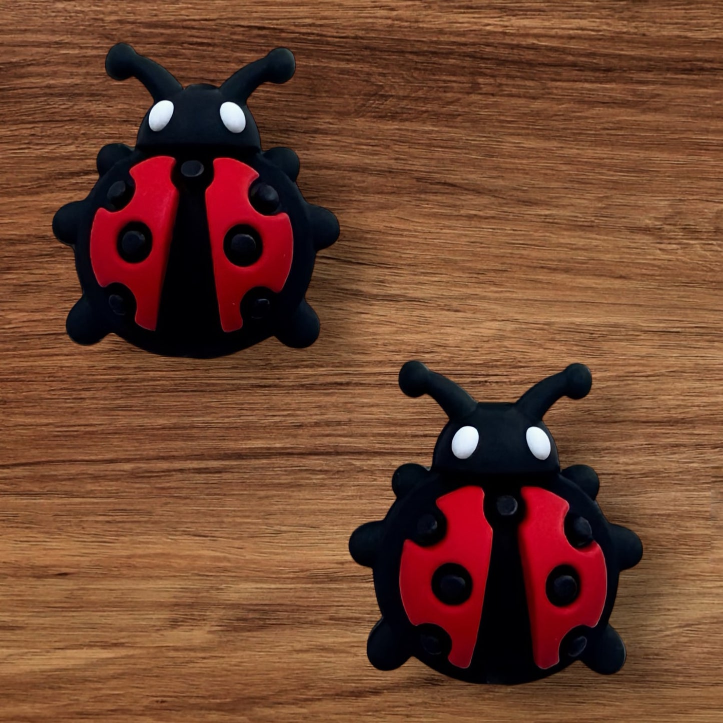 3-D Lady Bug Focal
