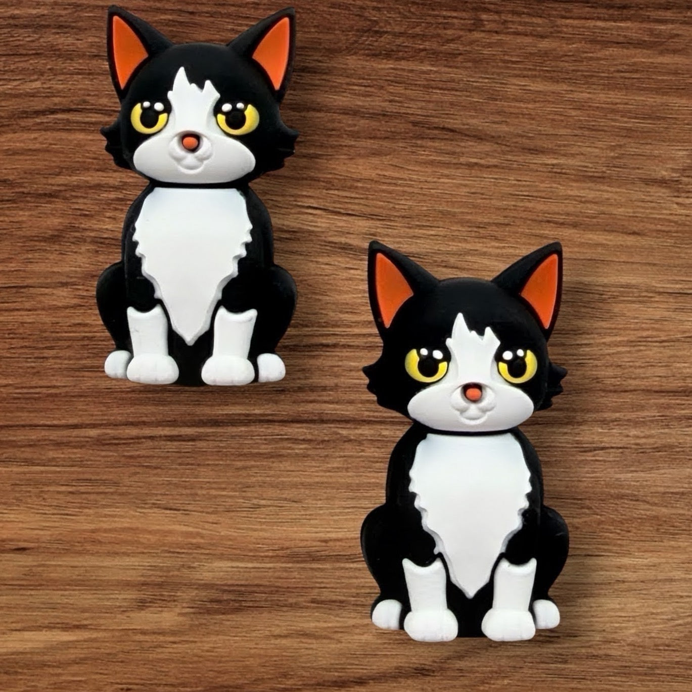 3-D Black & White Cat Focal