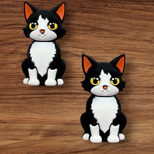 3-D Black & White Cat Focal