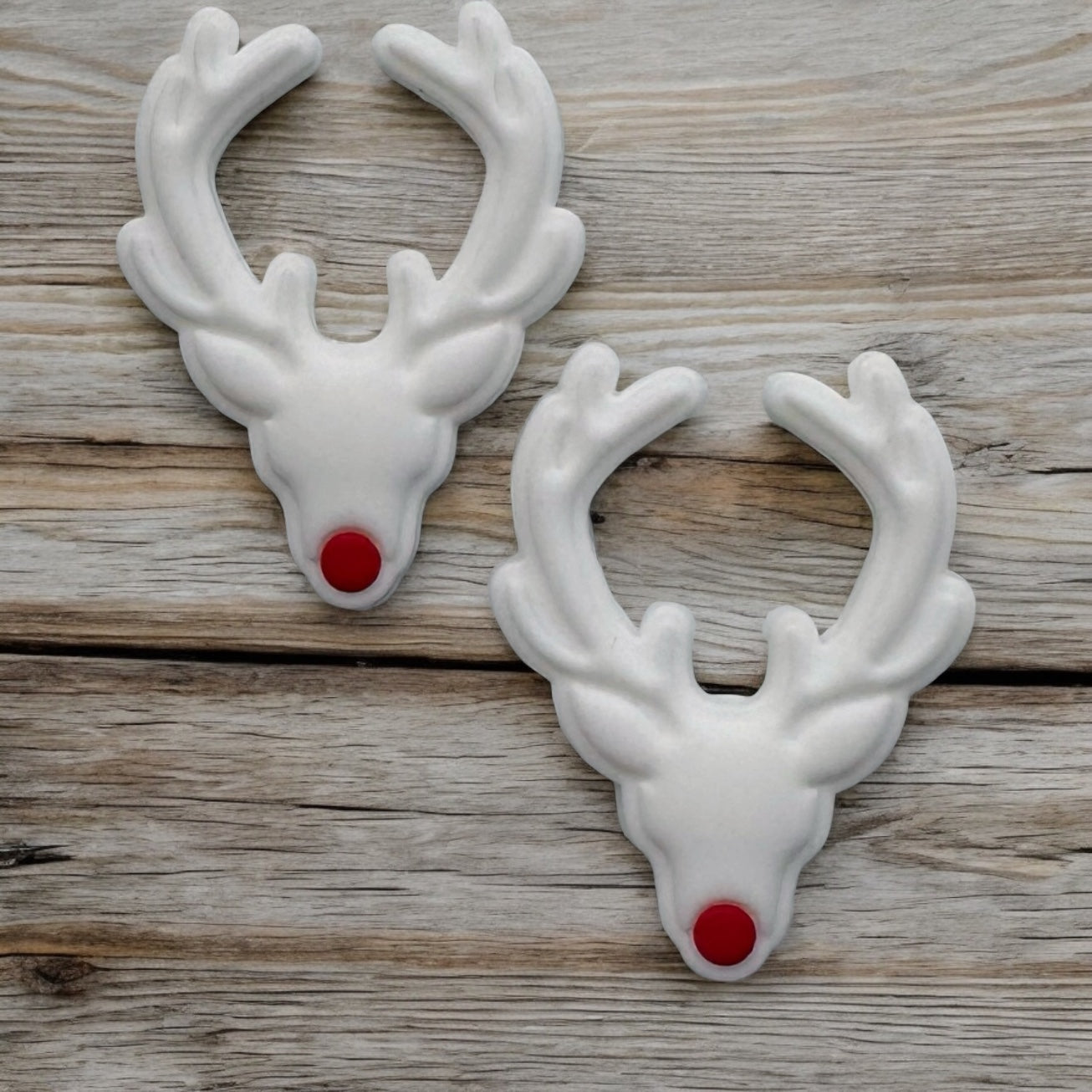 Reindeer Antlers  Focal