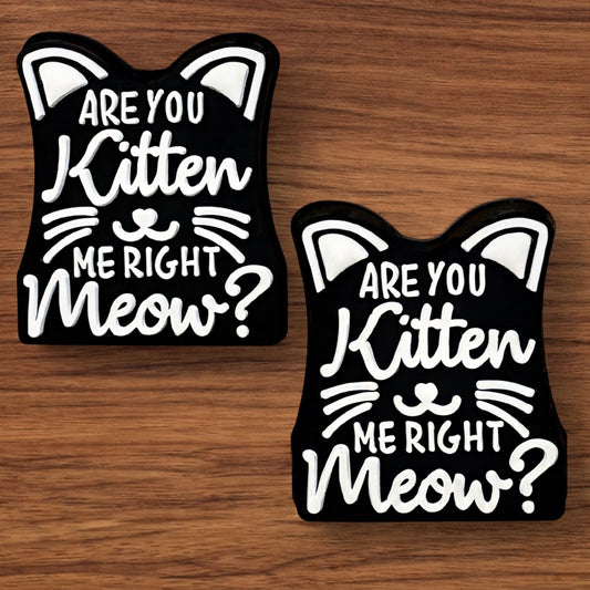 Are You Kitten Me Right Meow? Focal