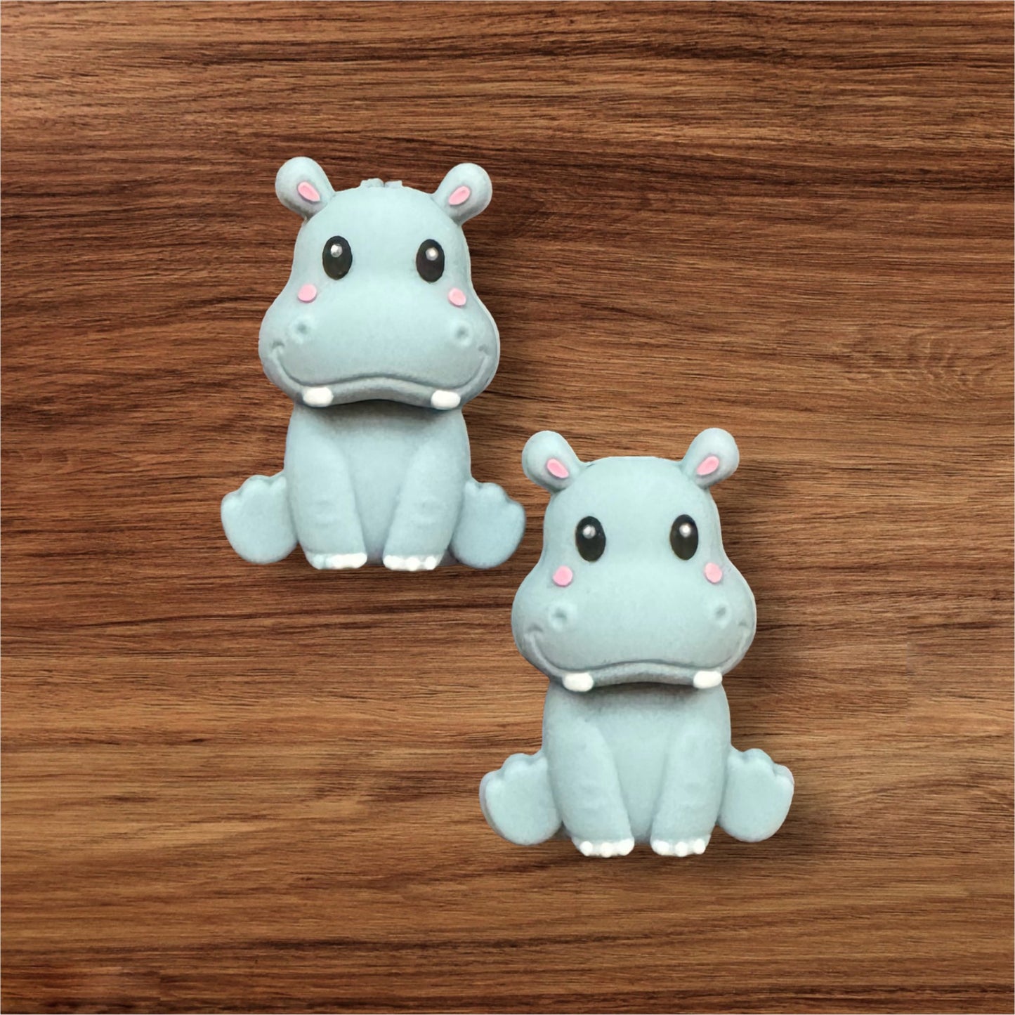 3-D Hippo Focal