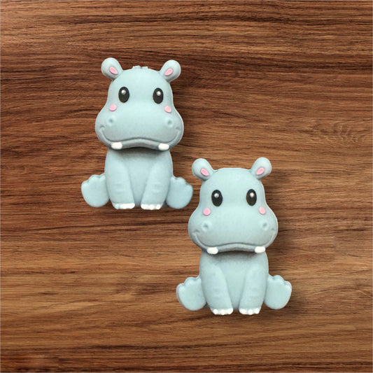 3-D Hippo Focal