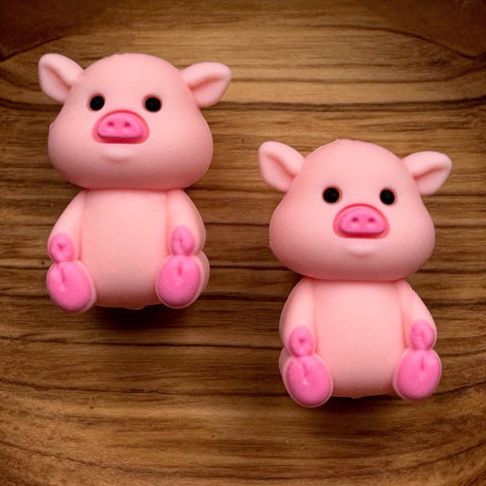 3-D Pig Focal