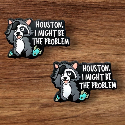 Houston I Might Be The Problem Focal
