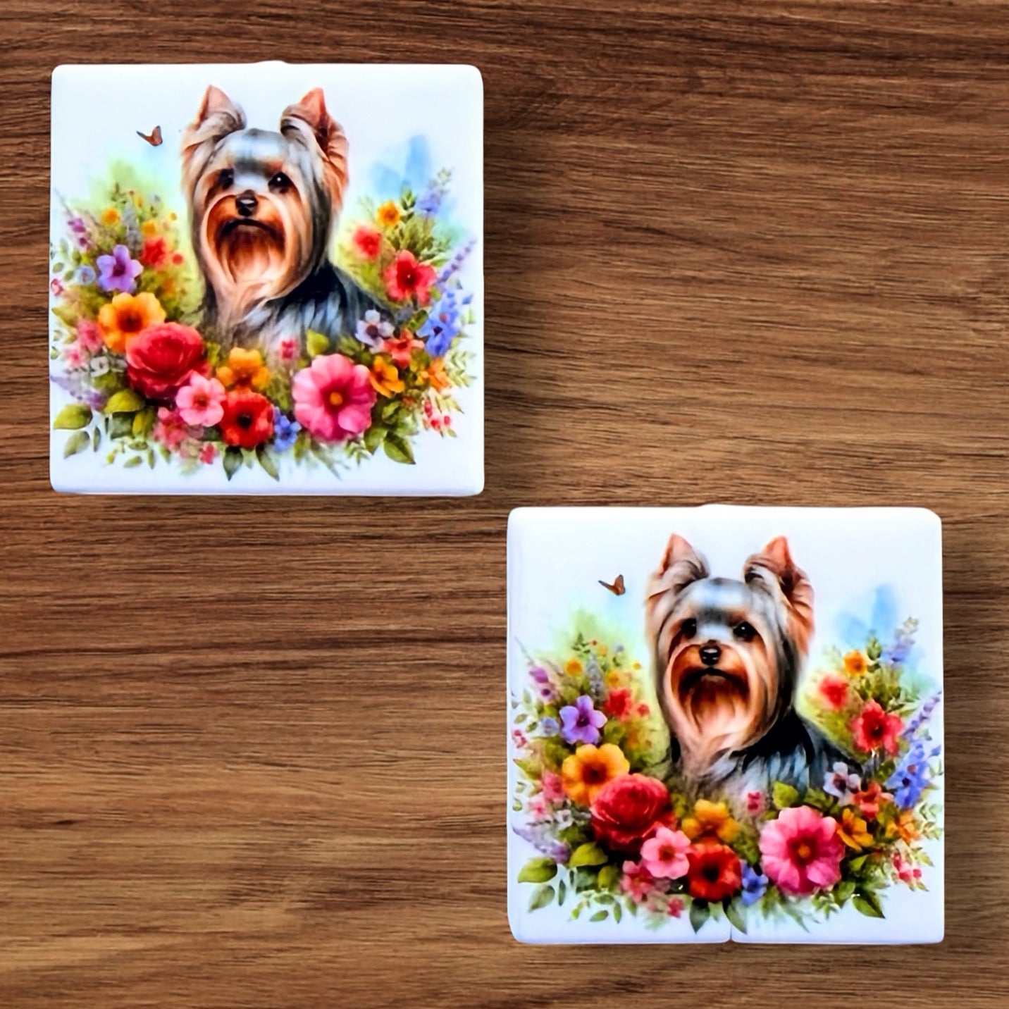 Yorkie Focal