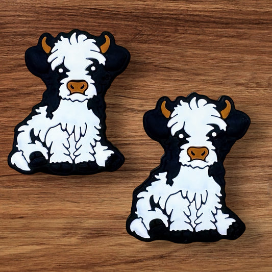 Cow Focal