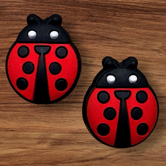Lady bug Focal