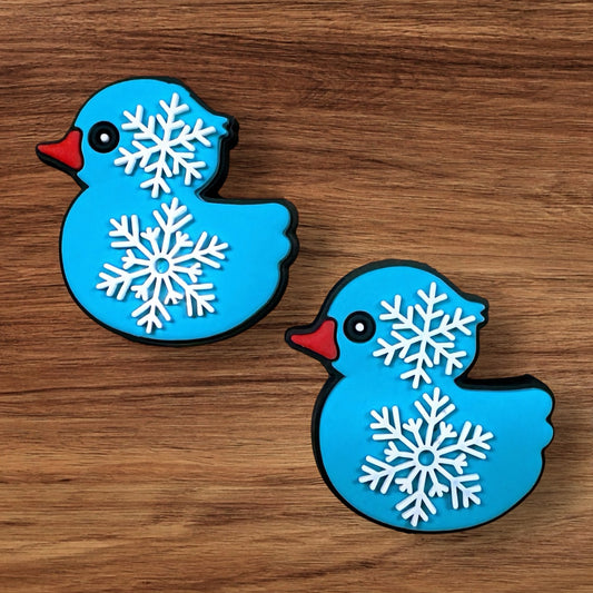Winter Duck Focal