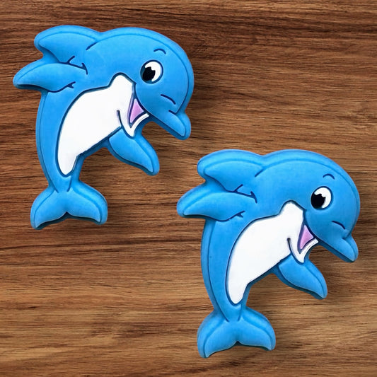 Dolphin focal